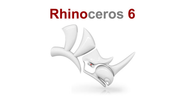 Rhino 6